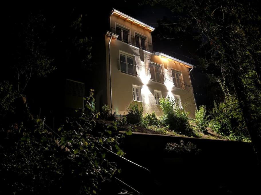 Appartement Zur Donauinsel à Bad Abbach Extérieur photo