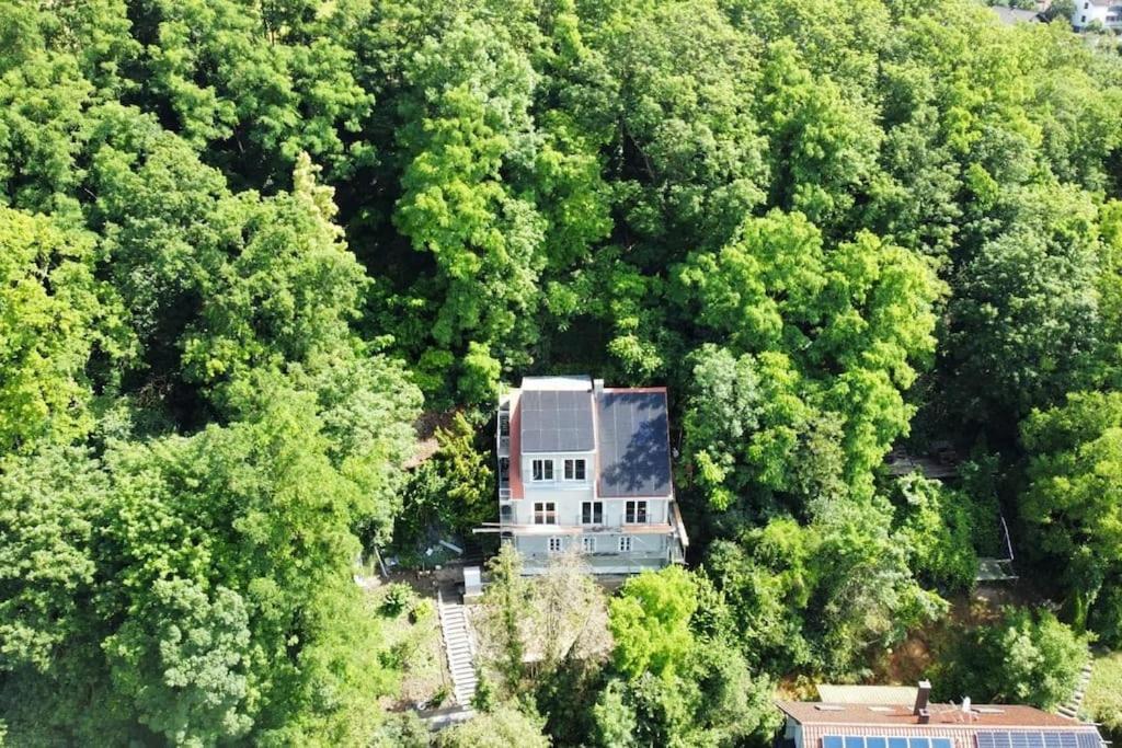 Appartement Zur Donauinsel à Bad Abbach Extérieur photo